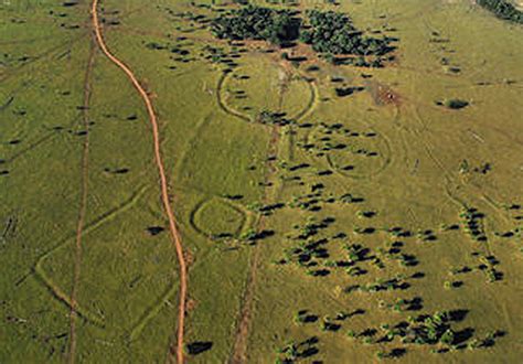 6世紀のブラジルにおける「太陽の石」の出現と古代文明の変容、そして失われた知識の謎