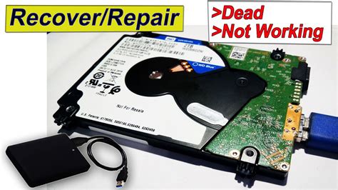 How to Repair External Hard Drive: A Journey Through the Digital Wilderness