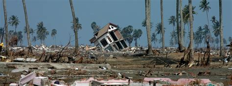  インドの2004年のツナミ：巨大地震と南アジアの再建への道