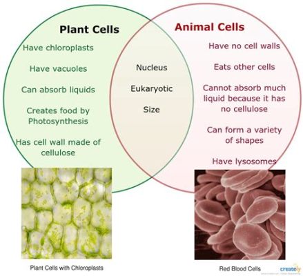 What are only found in animal cells, and why do they make us question the nature of existence?