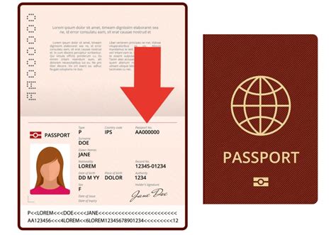 What is Travel Document Number on Passport and Why Does It Matter in the Age of Digital Nomadism?